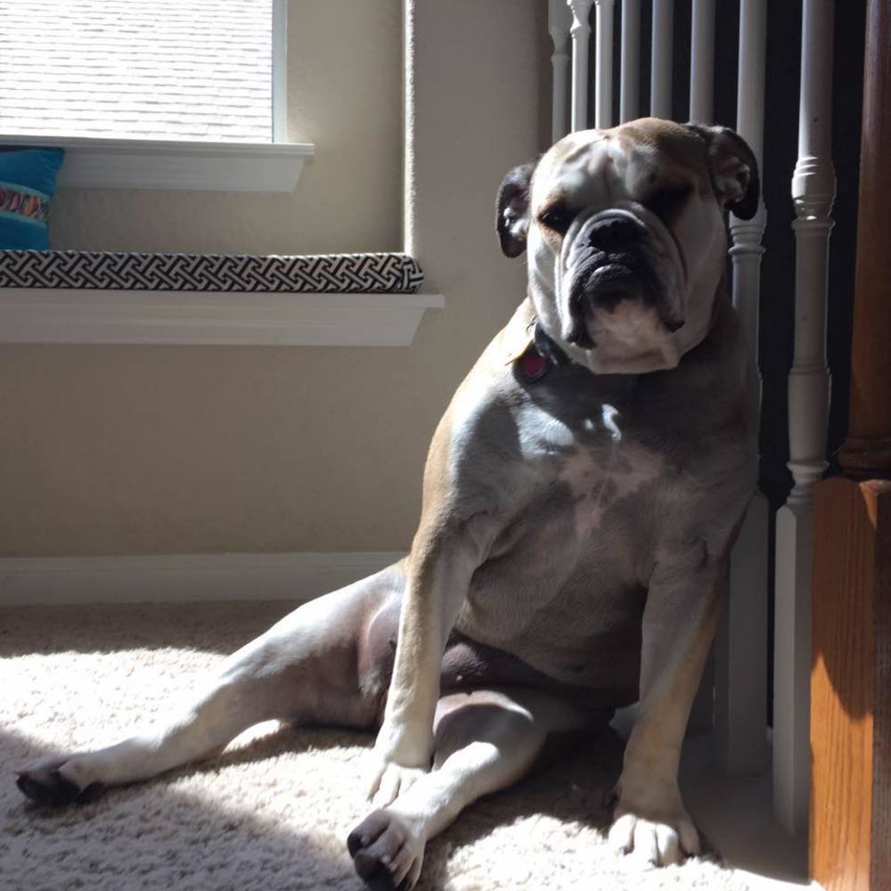 Meet your Posher, Yolon maggie